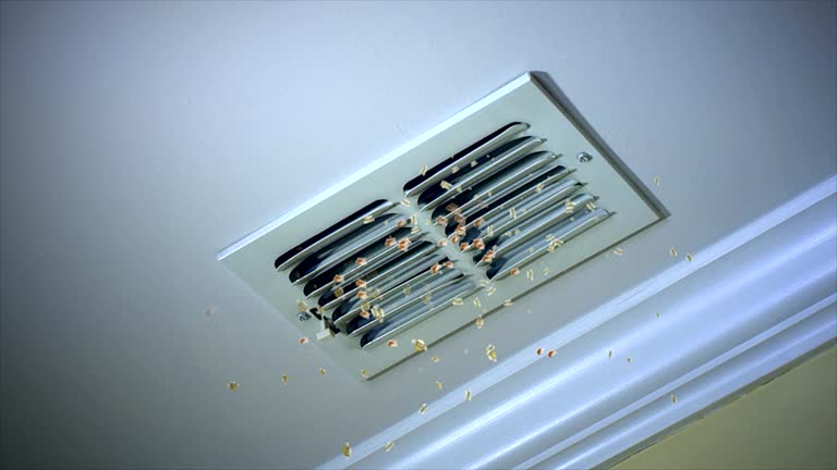 Best Ductwork Cleaning Services  in Harvey, LA